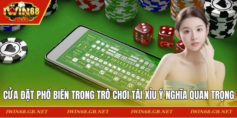 Cửa đặt phổ biến trong trò chơi Tài Xỉu với ý nghĩa quan trọng